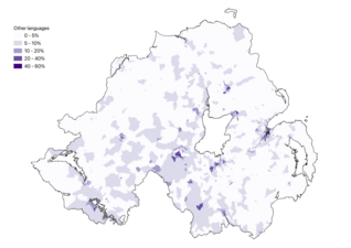 Foreign languages. Map showing the percentage of people whose main language was other than English or Irish (Gaeilge) in the 2021 census. Those stating Ulster Scots as their main language were negligible in number and not analysed geographically by NISRA.