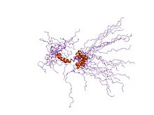 PDB 1kn7 EBI.jpg