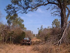 Gran Chaco in Paraguay