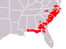 Sarracenia flava range.png