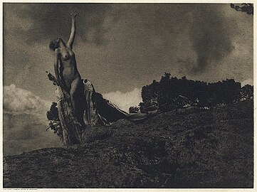 Soul of the Blasted Pine (Brigman).jpg