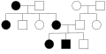 Autosomal dominant disorders do not skip a generation, so affected offspring have affected parents. One parent must have the disorder for its offspring to be affected. Both males and females are equally likely to be affected, so it is an autosomal disorder.