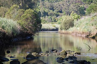 <span class="mw-page-title-main">Wolli Creek</span> River in New South Wales, Australia