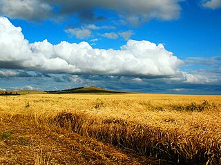 <span class="mw-page-title-main">Agriculture in Kazakhstan</span>