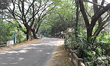 A road at Areekode Areekode Poongudy (2).jpg