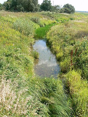 Baukštė Baukštininkuose