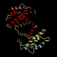 X-ray crystal structure of Bcl-xL with 1.76 A resolution Bcl-xl.jpg