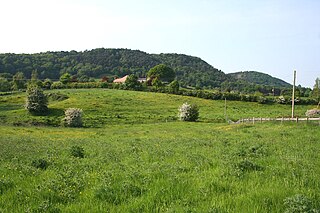 <span class="mw-page-title-main">Bulkeley</span> Human settlement in England