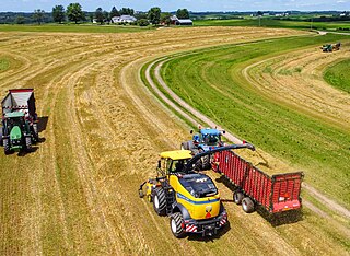 <span class="mw-page-title-main">Forage harvester</span> Harvesting machine