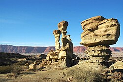 Ischigualasto Provincial Park