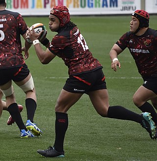 <span class="mw-page-title-main">Johnny Fa'auli</span> New Zealand rugby union player