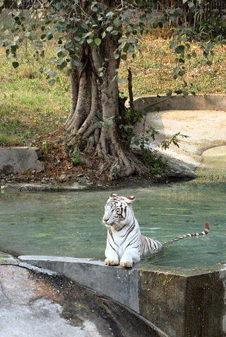 <span class="mw-page-title-main">National Zoological Park Delhi</span> National Zoo at Delhi