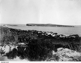 <span class="mw-page-title-main">South Island (South Australia)</span> Island in South Australia