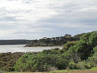 Pelican Lagoon Conservation Park Protected area in South Australia