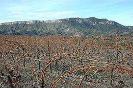 Serra dels Llangossets