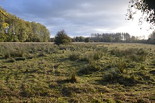 <span class="mw-page-title-main">Snailwell Meadows</span> Meadow in the United Kingdom