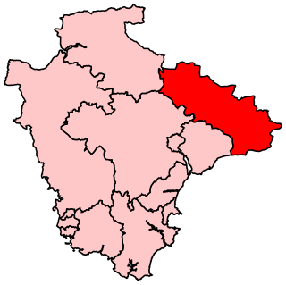 <span class="mw-page-title-main">Tiverton and Honiton (UK Parliament constituency)</span> Parliamentary constituency in the United Kingdom, 1997-2024