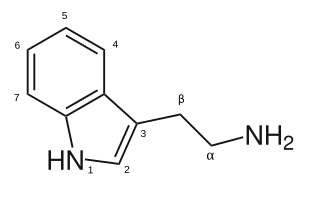 <span class="mw-page-title-main">Tryptamine</span> Metabolite of the amino acid tryptophan