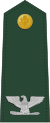 Colonel