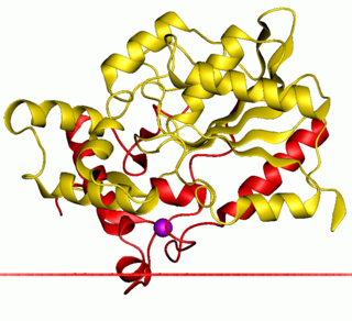 <span class="mw-page-title-main">Alpha/beta hydrolase superfamily</span>