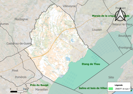 Carte de la ZNIEFF de type 1 sur la commune.