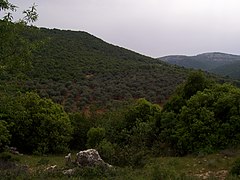 Munții Ajloun