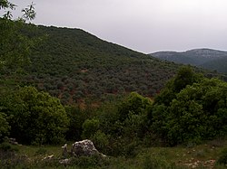 Ajlun mountains