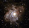 RS Puppis, a Cepheid variable star