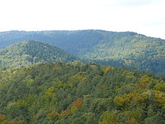 Hohe Derst (östlicher Wasgau): Blick vom Stäffelsberg