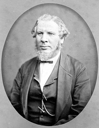 <span class="mw-page-title-main">John Anderson (mayor)</span> New Zealand blacksmith and businessman (1820–1897)