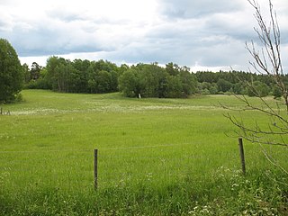 <span class="mw-page-title-main">Lingsberg Runestones</span>