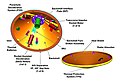 Diagram som viser fartøjernes isolering