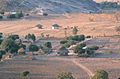 Farming in a valley in Zimbabwe