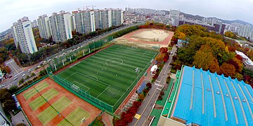 Soccer field