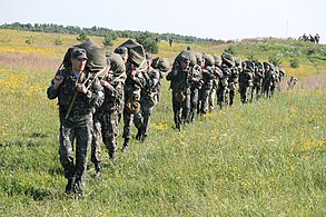 Paratroopers of the 95th Airmobile Brigade return from the landing zone, July 2013