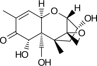 <span class="mw-page-title-main">Vomitoxin</span> Fungal toxic chemical in grains