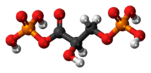 1,3-Bisphosphoglyceric acid molecule