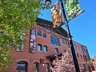 <span class="mw-page-title-main">Museum of World Treasures</span> Museum in Wichita, Kansas