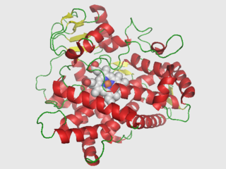 <span class="mw-page-title-main">CYP2D6</span> Human liver enzyme