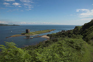 <span class="mw-page-title-main">Little Cumbrae Castle</span>