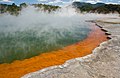 * Nomination A part of the huge and beautiful Champagne Pool in Wai-O-Tapu Thermal Wonderland. Chmehl 16:52, 11 March 2008 (UTC) * Promotion Can't be sure if it's straight or not, but I like it. I'd support for FP as well. --Dori - Talk 04:16, 13 March 2008 (UTC)  Comment From the reflections on the water it is clear that the image is tilted. Should be easy to fix though. --Stefan Vladuck 11:27, 13 March 2008 (UTC) I rotated the image 2° to the left. I think its straight now. Besides the reflections, also have a look at the trees in the background. Chmehl 16:28, 13 March 2008 (UTC) Rotation is good. I think that does it. WikiWookie 09:04, 17 March 2008 (UTC)