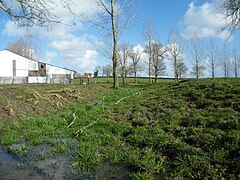 Premiers balbutiements de la Maye, en amont du village, février 2014.