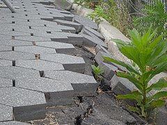 Hex pavers sliding to Hudson W60 jeh.jpg