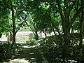 Izamal, Yucatán.