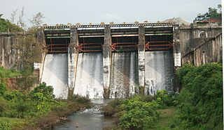 <span class="mw-page-title-main">Peruvannamuzhi Dam</span> Dam