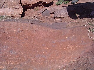 <span class="mw-page-title-main">Sedimentary structures</span> Geologic structures formed during sediment deposition