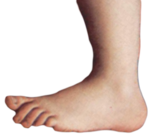 Il piede simbolo dei Monty Python