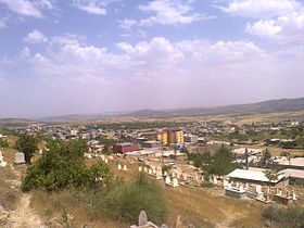 Dicle