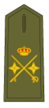 General de División