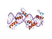 PDB 1p47 EBI.jpg